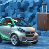 Туристический чемодан для  Smart ForTwo